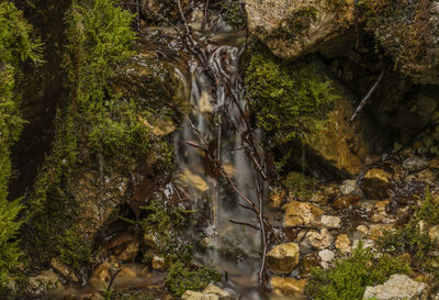 Stream flowing through rocks in forest