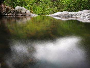 Scenic view of lake