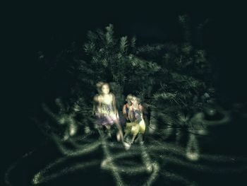 People walking on illuminated tree at night