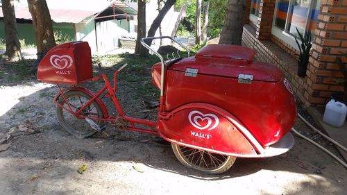 Red vintage car on tree