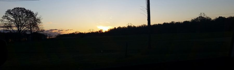 Silhouette of trees at sunset