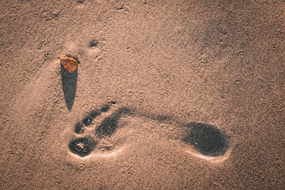 Shadow of person on sand