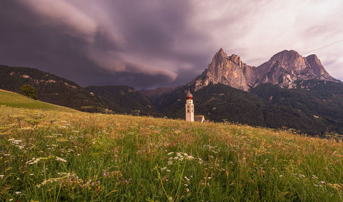 Seiser alm is a dolomite plateau and the largest high-altitude alpine meadow in europe