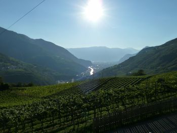 Scenic view of landscape against sky