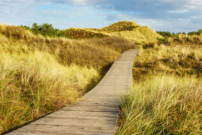 Boardwalk amidst field against sky