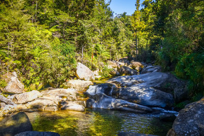 Stream flowing through rocks in forest