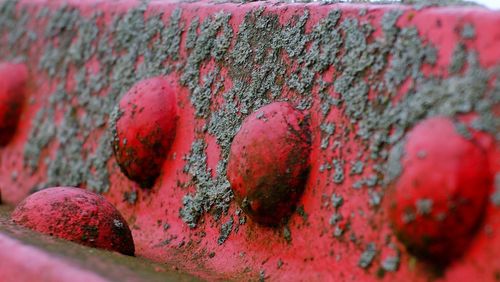 Close-up of red paint