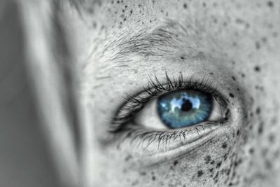 Close-up of human eye