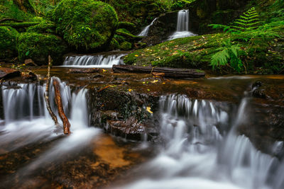 Scenic view of waterfall in forest