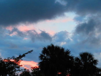 Low angle view of silhouette trees against sky at sunset