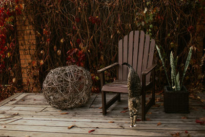 Empty chairs and table in yard