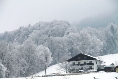 Snow covered trees and houses in winter