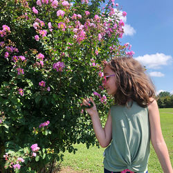 Rear view of young girl standing by pink flowering plants