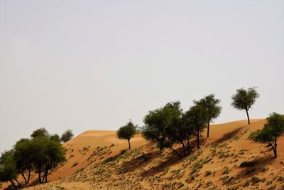 Scenic view of desert against clear sky