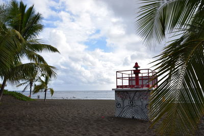 Palm trees on beach against sky