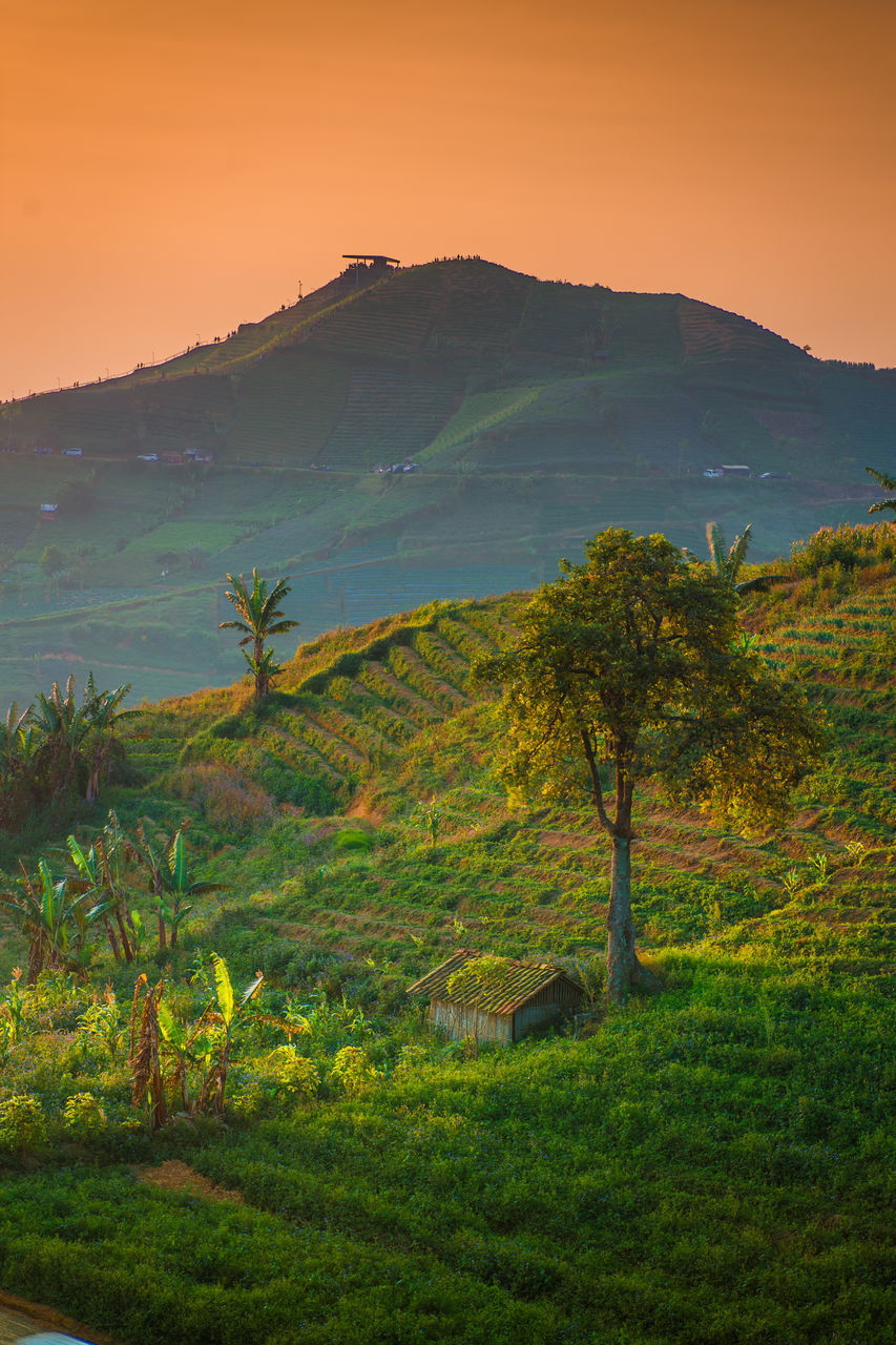 SCENIC VIEW OF LANDSCAPE DURING SUNSET