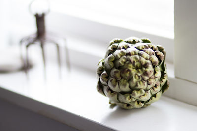 Close-up of artichoke on table