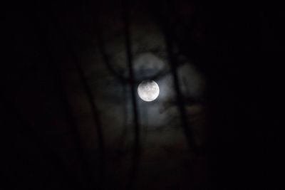 Low angle view of moon in sky at night