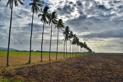 Scenic view of field against cloudy sky