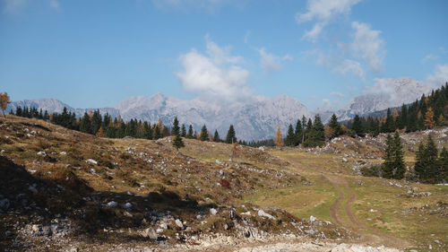 Panoramic view of landscape against sky
