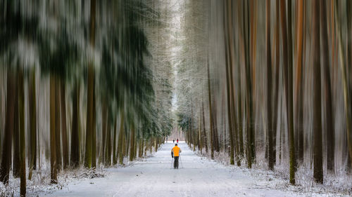 Rear view of man skiing on snow covered field amidst trees