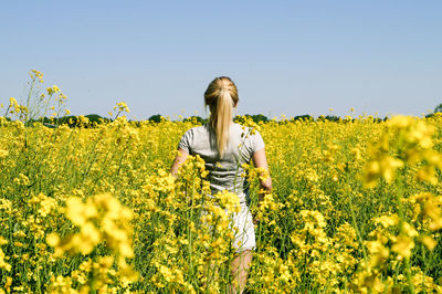 Rear view of woman standing amidst flowering field against clear sky