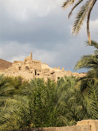 View of palm trees against sky