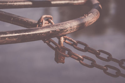 Close-up of branches against blurred background