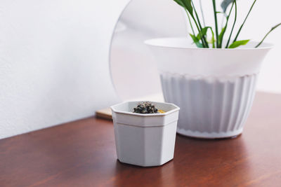 Close-up of potted plant on table