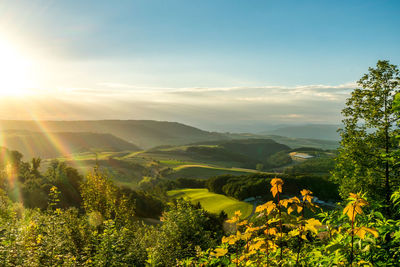 Scenic view of landscape against sky