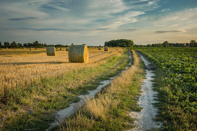 Country road through farmland, evening clouds on the sky, zarzecze, eastern poland