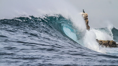 Side view of a perfect wave breaking