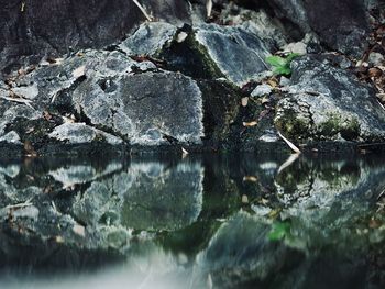 nature