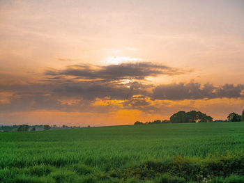 Scenic view of field against sky during sunset