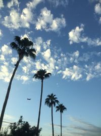 Low angle view of palm trees against sky