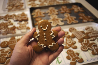 Gingerbread cookie and friends