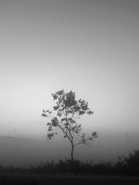 Silhouette tree on field against sky