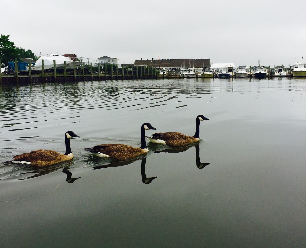 Bay Shore Marina, New York