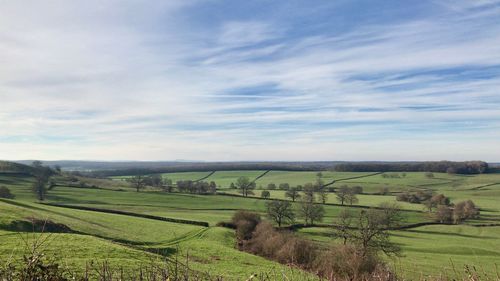 Scenic view of agricultural field against sky