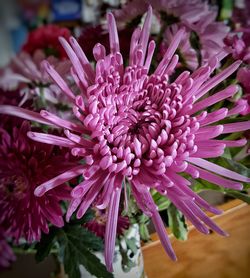 Close-up of flowers