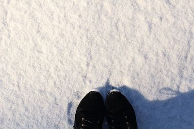 Low section of person standing on ground