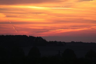 Silhouette trees against sky during sunset