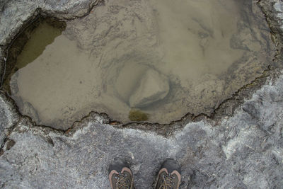 Low section of person standing on rock by sea