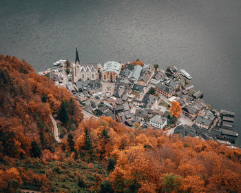 High angle view of trees and buildings in town