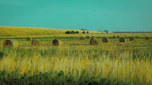 Hay bales on field against sky