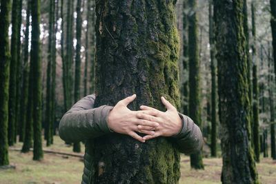 Rear view of woman standing in forest