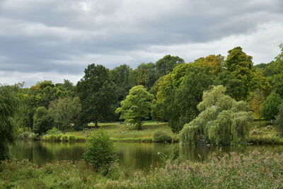 Scenic view of lake by trees against sky