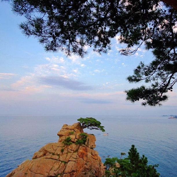 sea, horizon over water, water, tranquil scene, tranquility, scenics, tree, sky, beauty in nature, rock - object, nature, rock formation, idyllic, silhouette, cliff, rock, sunset, branch, cloud - sky, shore