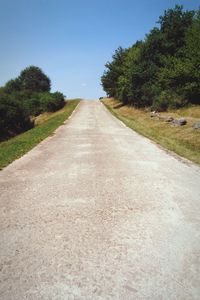 Empty road along trees