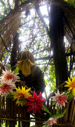 Low angle view of flowers against trees